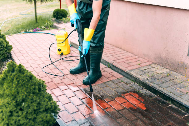 Best Warehouse Cleaning  in Marshall, VA